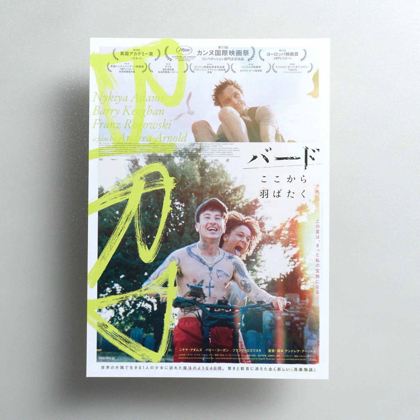 Bird 2025 Japanese B5 Movie Flyer - Design C front
