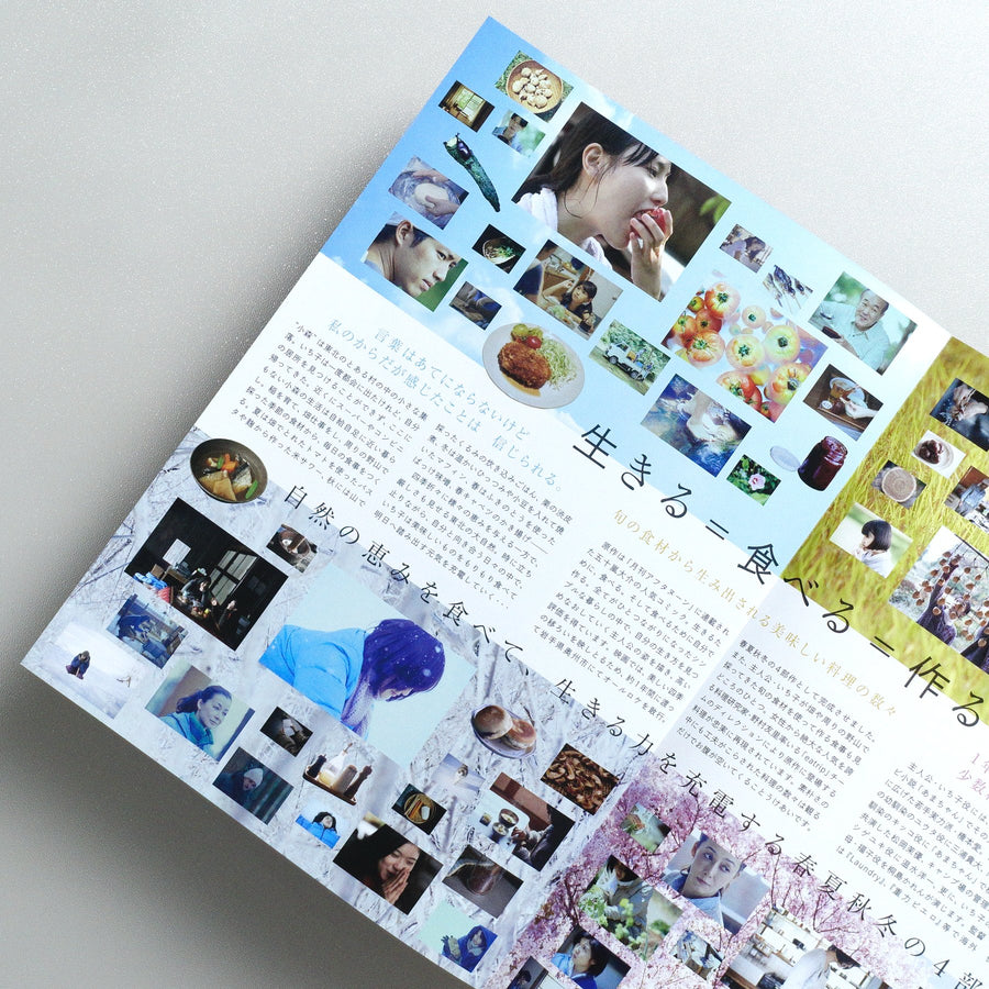 Little Forest: Summer 2014 Japanese B5 Movie Flyer - reverse
