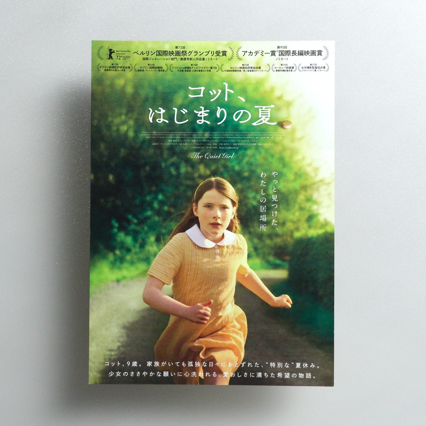 The Quiet Girl 2023 Japanese B5 Movie Flyer - front