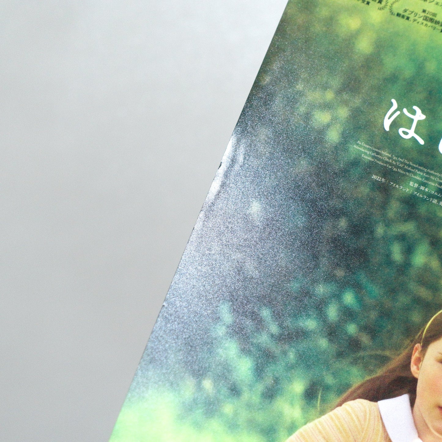 The Quiet Girl 2023 Japanese B5 Movie Flyer - reverse