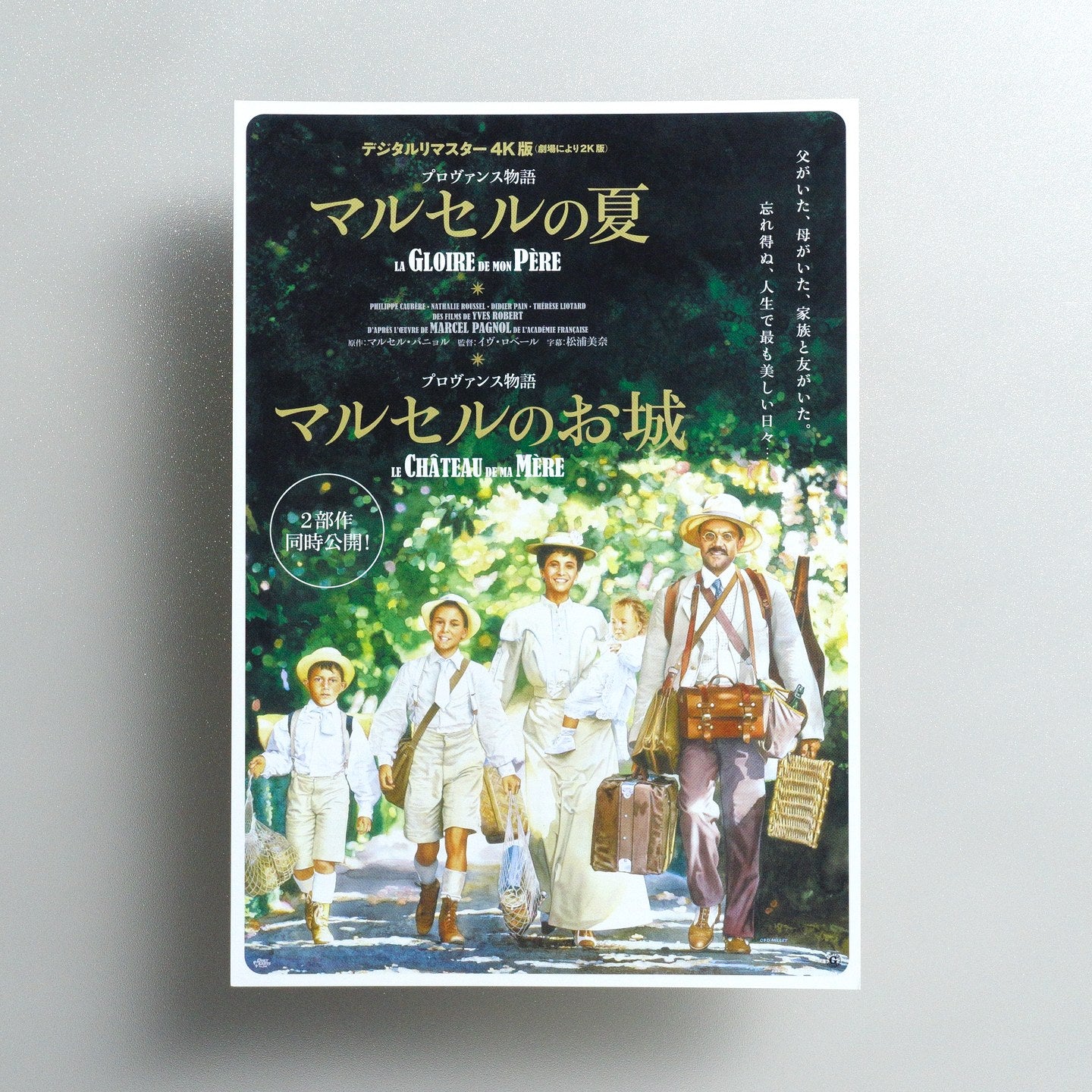 My Father's Glory 2018 Japanese B5 Movie Flyer - front