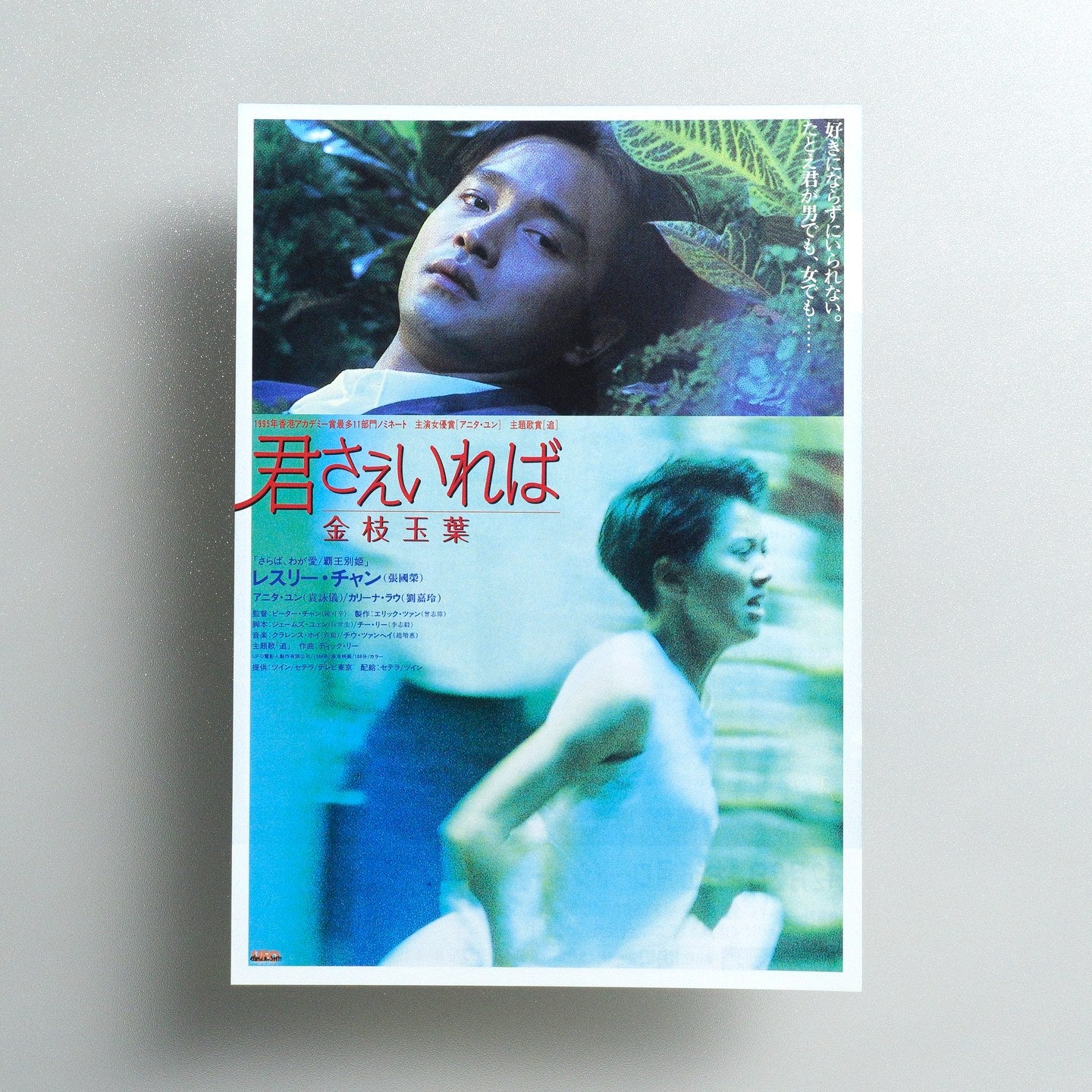 He’s a Woman, She’s a Man 1995 Japanese B5 Movie Flyer - front