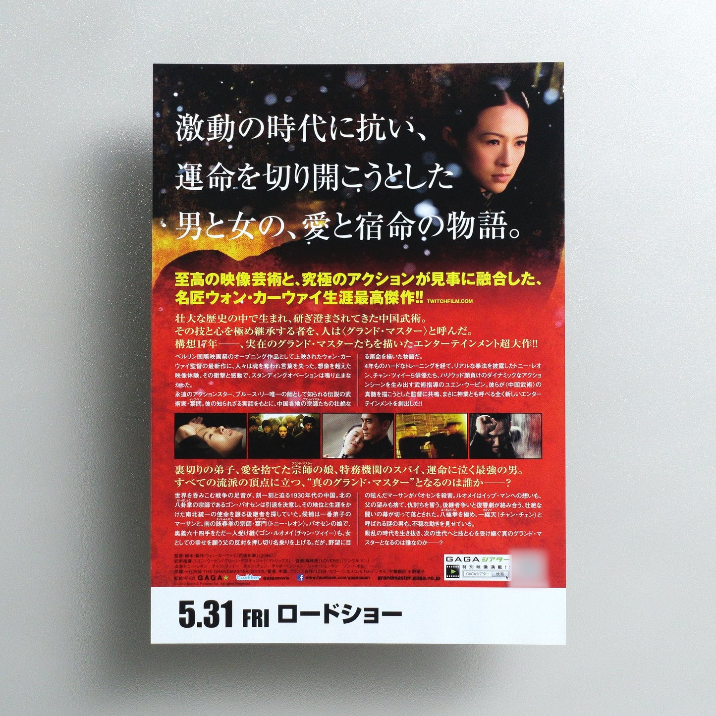 The Grandmaster 2013 Japanese B5 Movie Flyer - reverse