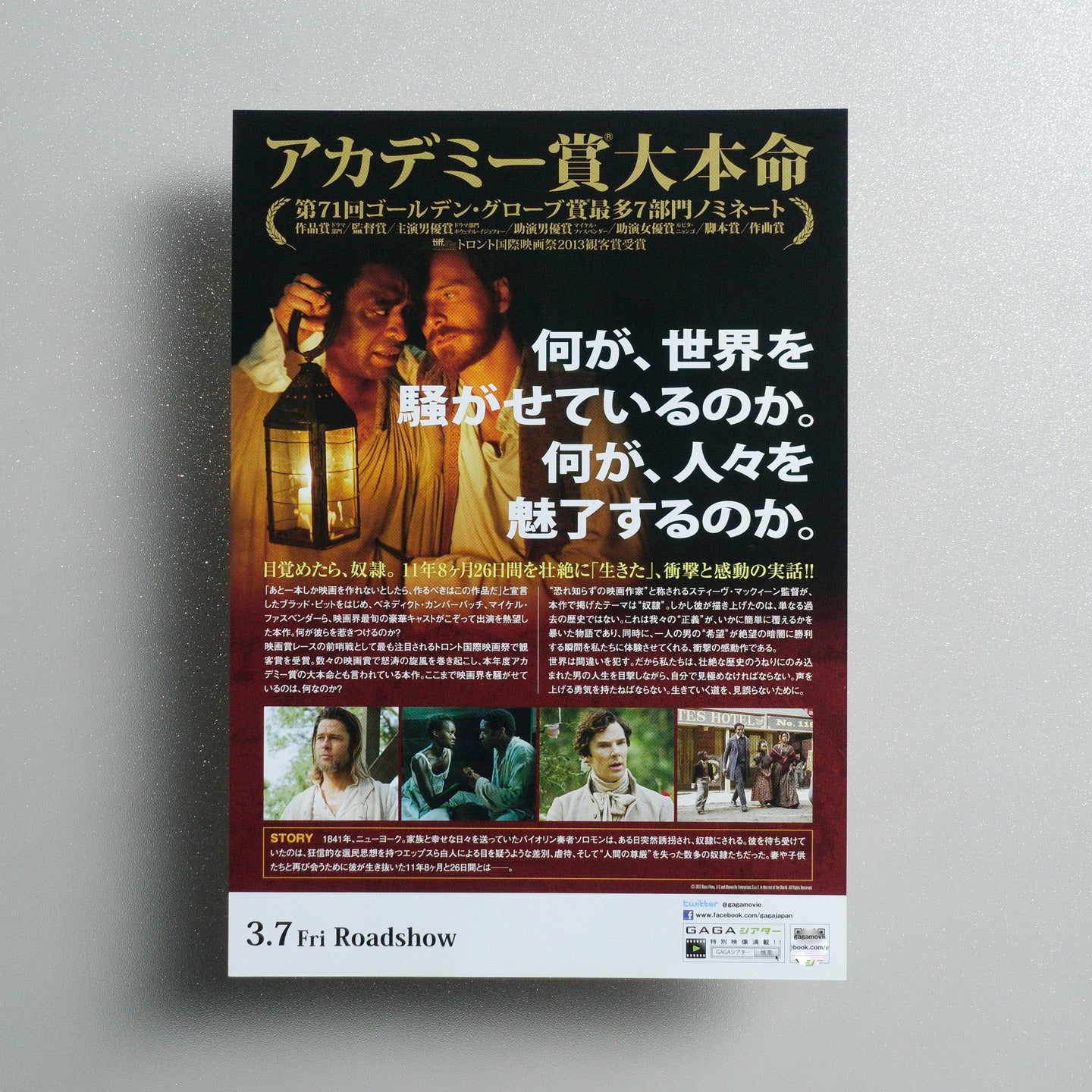 12 Years a Slave 2014 Japanese B5 Movie Flyer - reverse