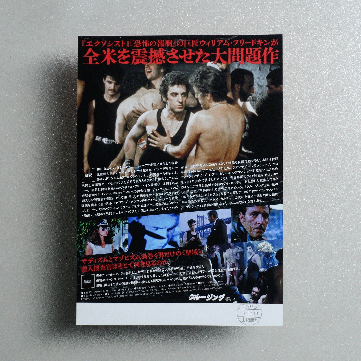 Cruising 2024 Japanese B5 Movie Flyer - reverse