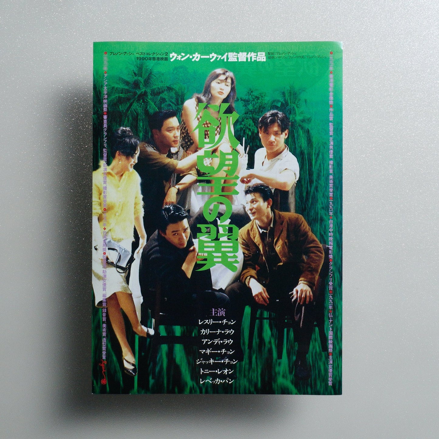 Days of Being Wild 1995 Japanese B5 Movie Flyer - front