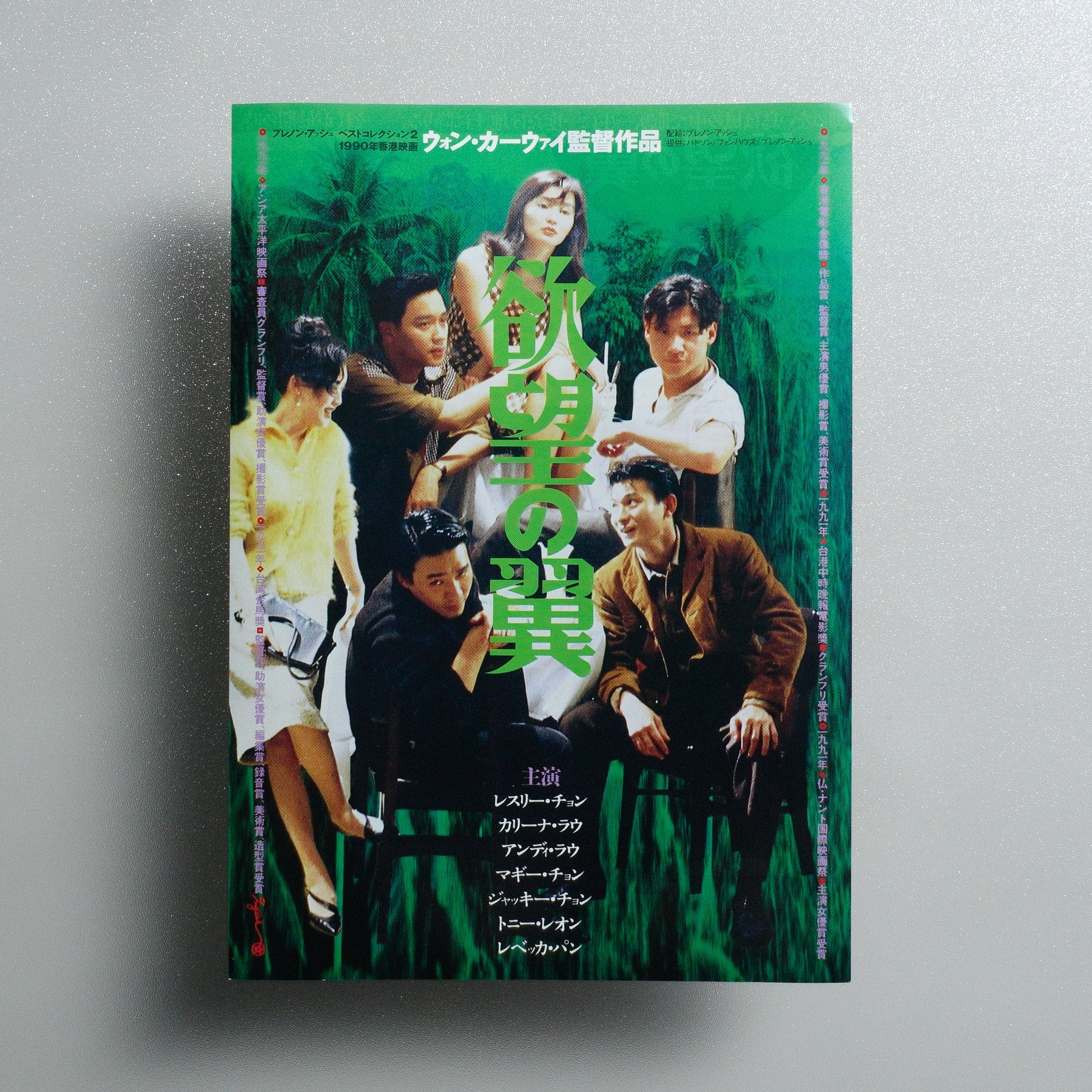 Days of Being Wild 1995 Japanese B5 Movie Flyer - front