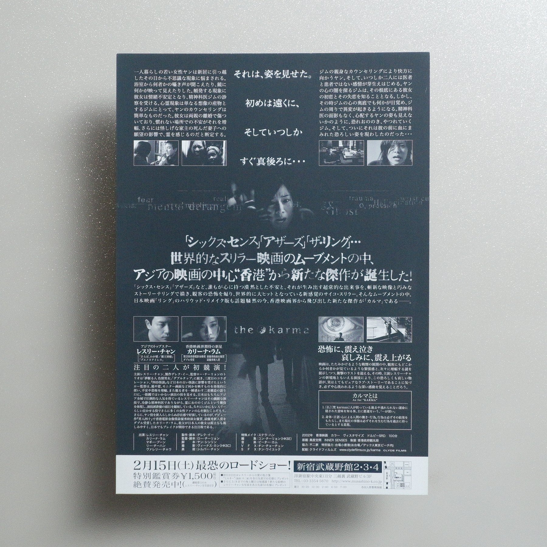 Inner Senses 2002 Japanese B5 Movie Flyer - reverse