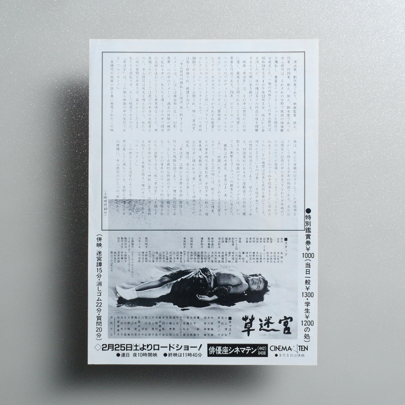 Grass Labyrinth 1984 Japanese B5 Movie Flyer - reverse