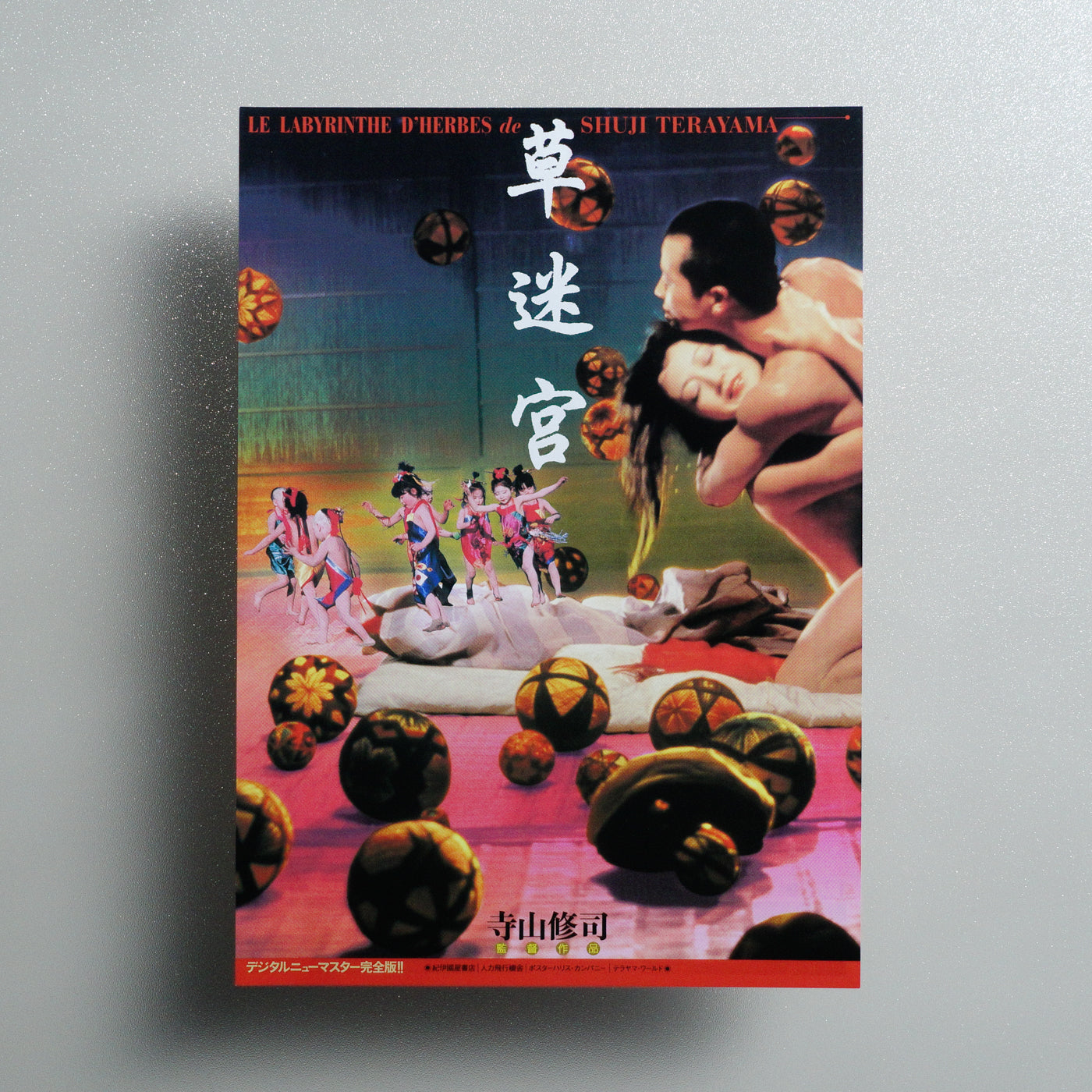 Grass Labyrinth 2003 Japanese B5 Movie Flyer - front