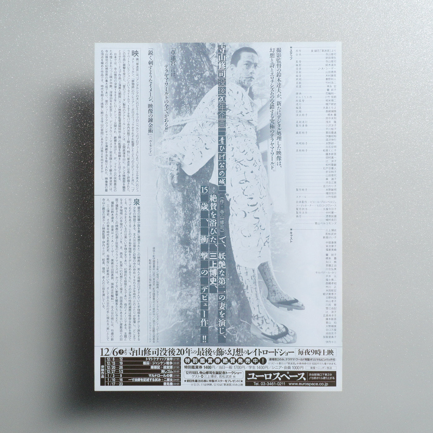 Grass Labyrinth 2003 Japanese B5 Movie Flyer - reverse