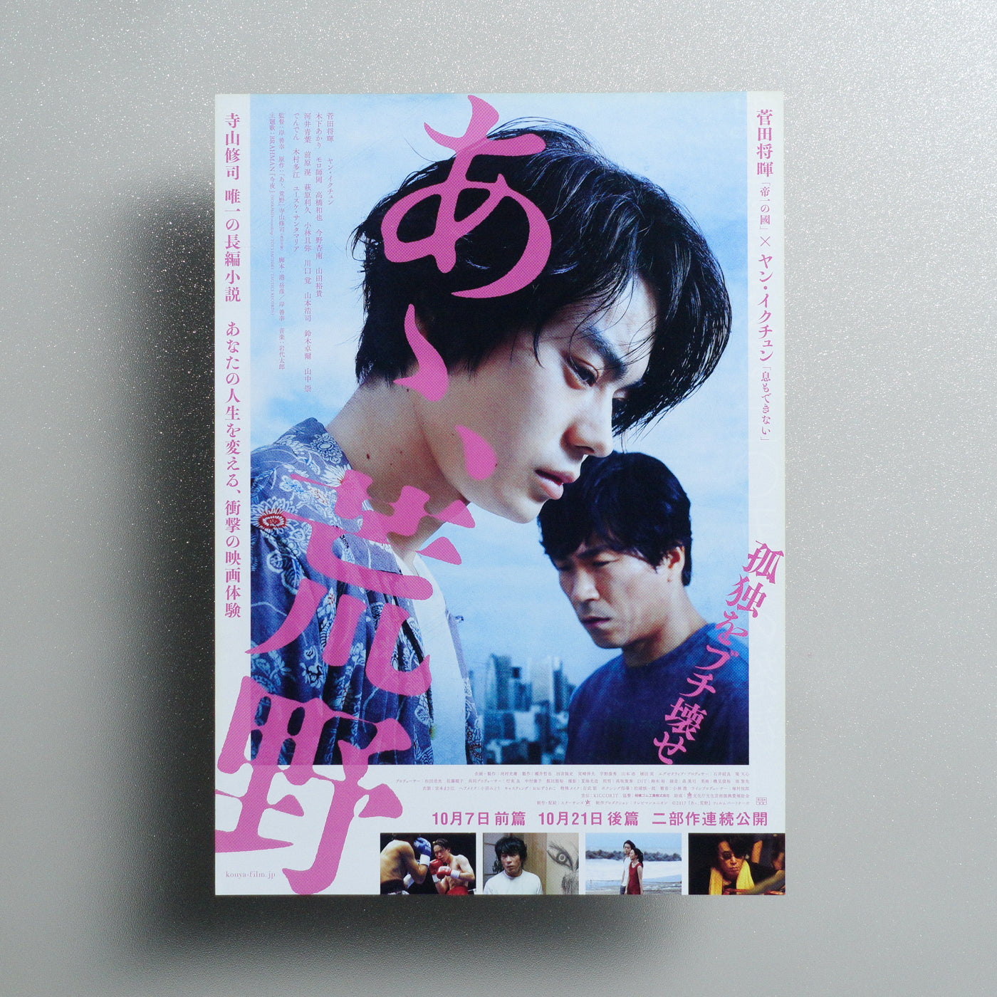 Wilderness 2017 Japanese B5 Movie Flyer - Design A front