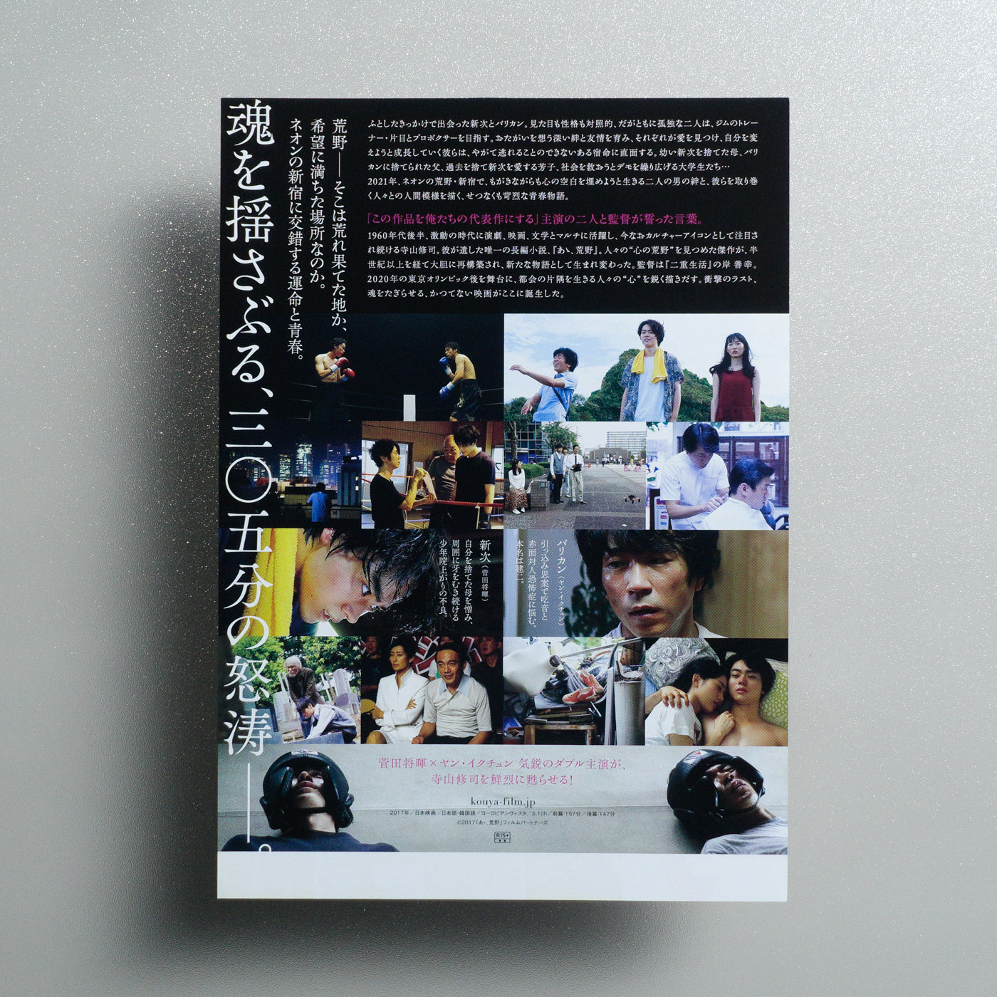 Wilderness 2017 Japanese B5 Movie Flyer - Design A reverse