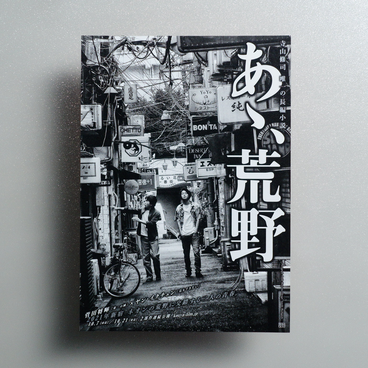 Wilderness 2017 Japanese B5 Movie Flyer - Design B front