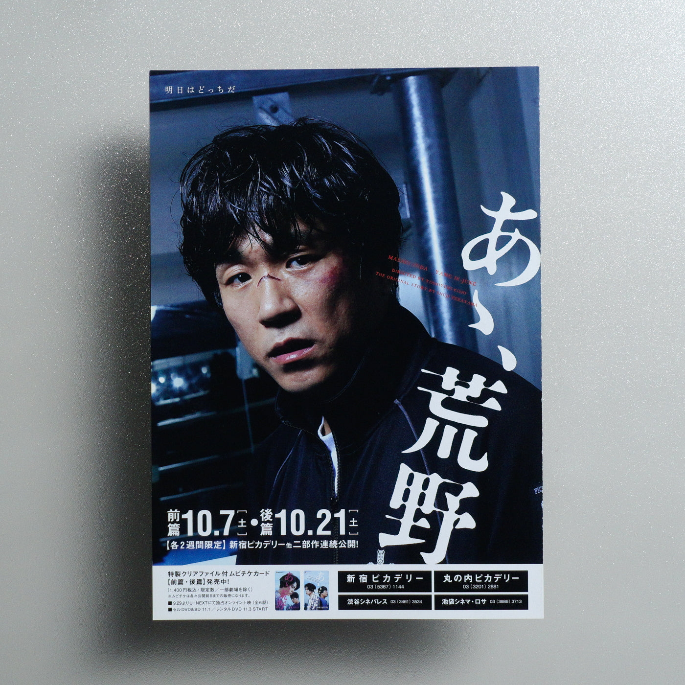 Wilderness 2017 Japanese B5 Movie Flyer - Design C front