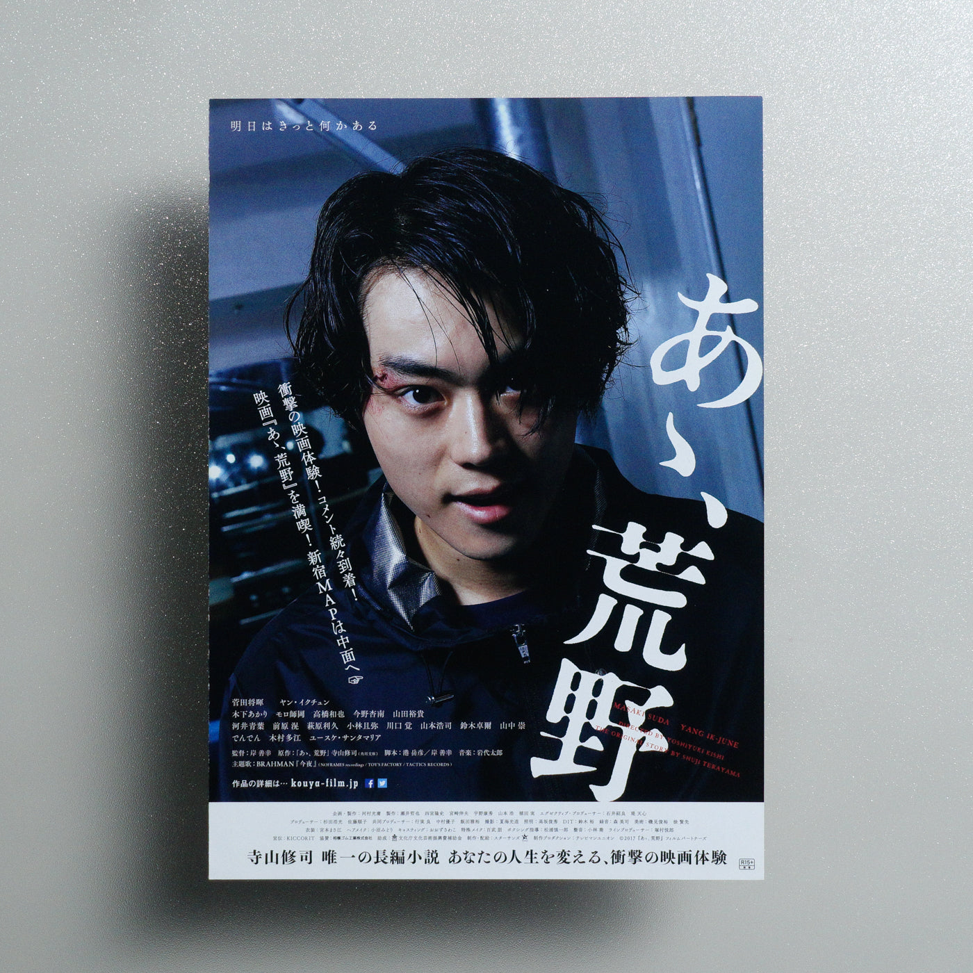 Wilderness 2017 Japanese B5 Movie Flyer - Design C reverse