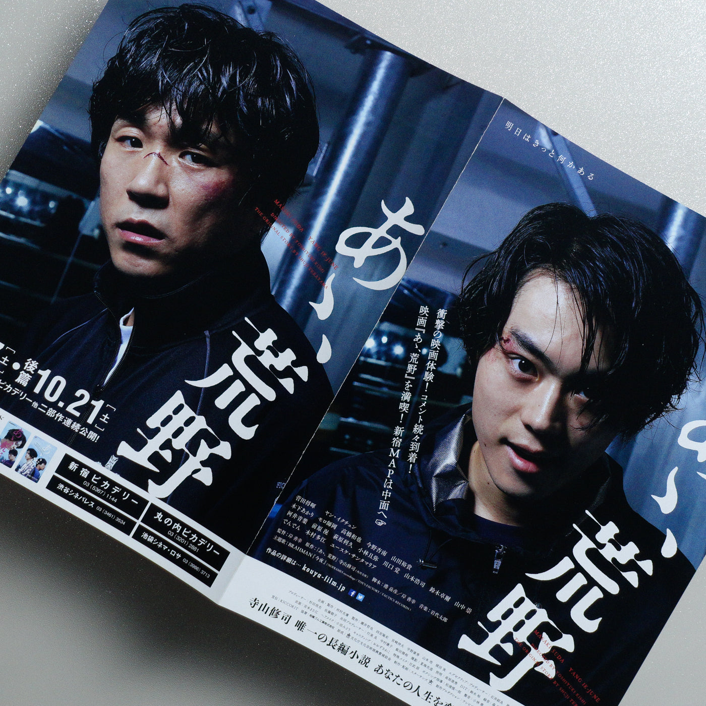 Wilderness 2017 Japanese B5 Movie Flyer - Design C side C