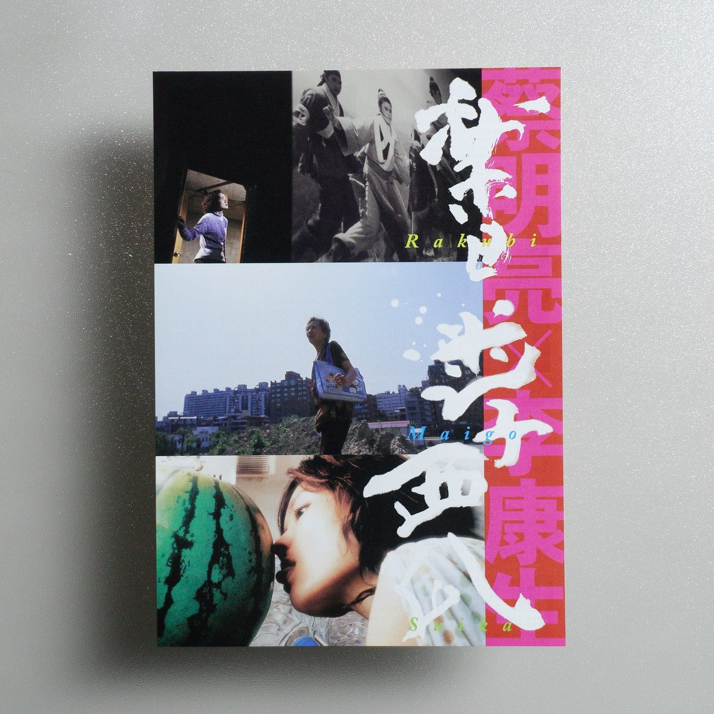 Goodbye, Dragon Inn／The Missing／The Wayward Cloud 2006 Japanese B5 Screening Flyer - front