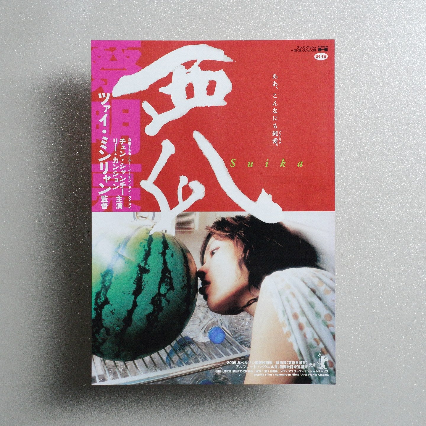 The Wayward Cloud 2006 Japanese B5 Movie Flyer - front