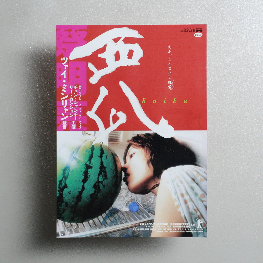 The Wayward Cloud 2006 Japanese B5 Movie Flyer - front