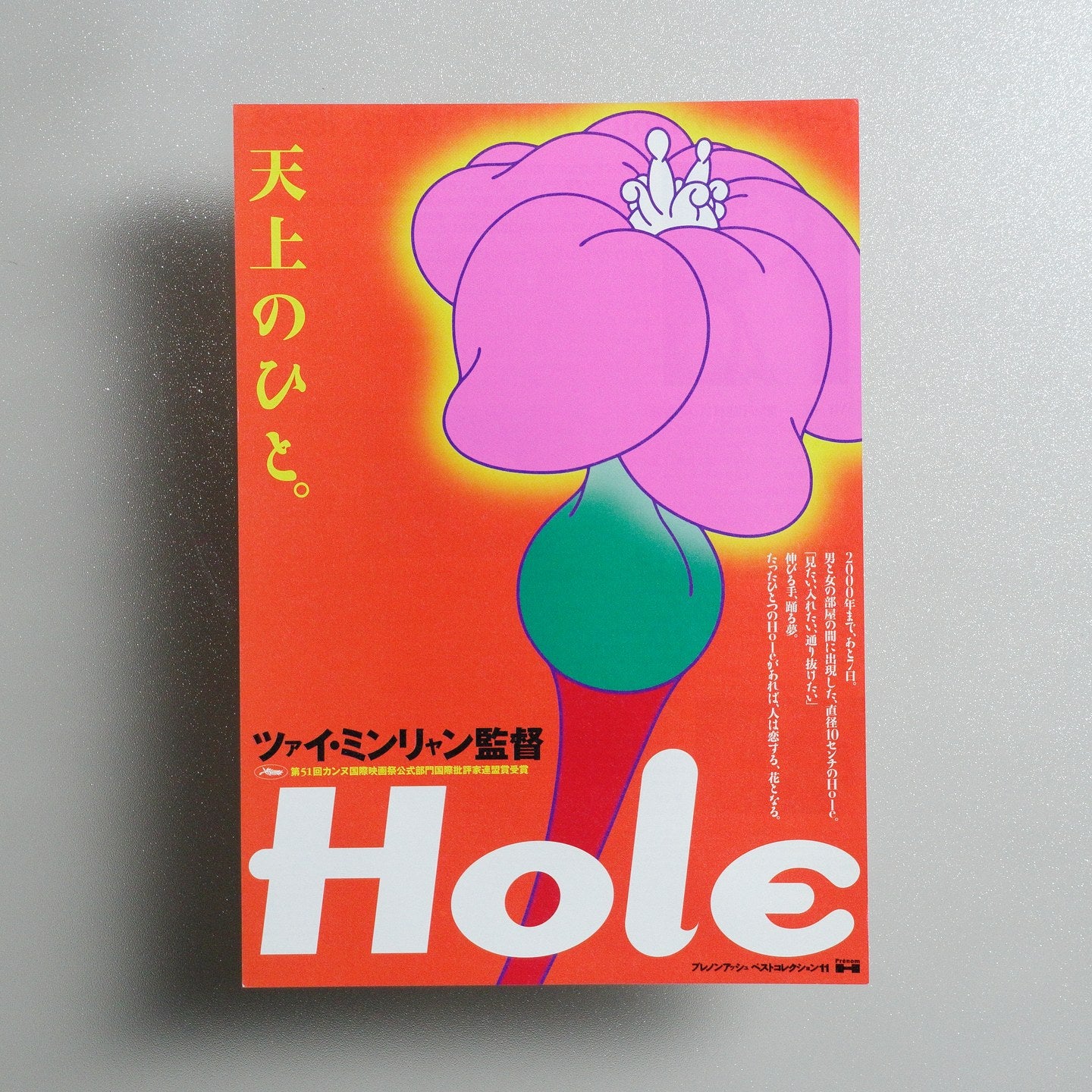 The Hole 1999 Japanese B5 Movie Flyer - front