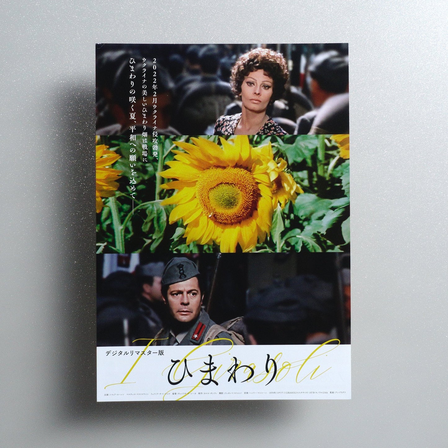 Sunflower 2023 Japanese B5 Movie Flyer - front