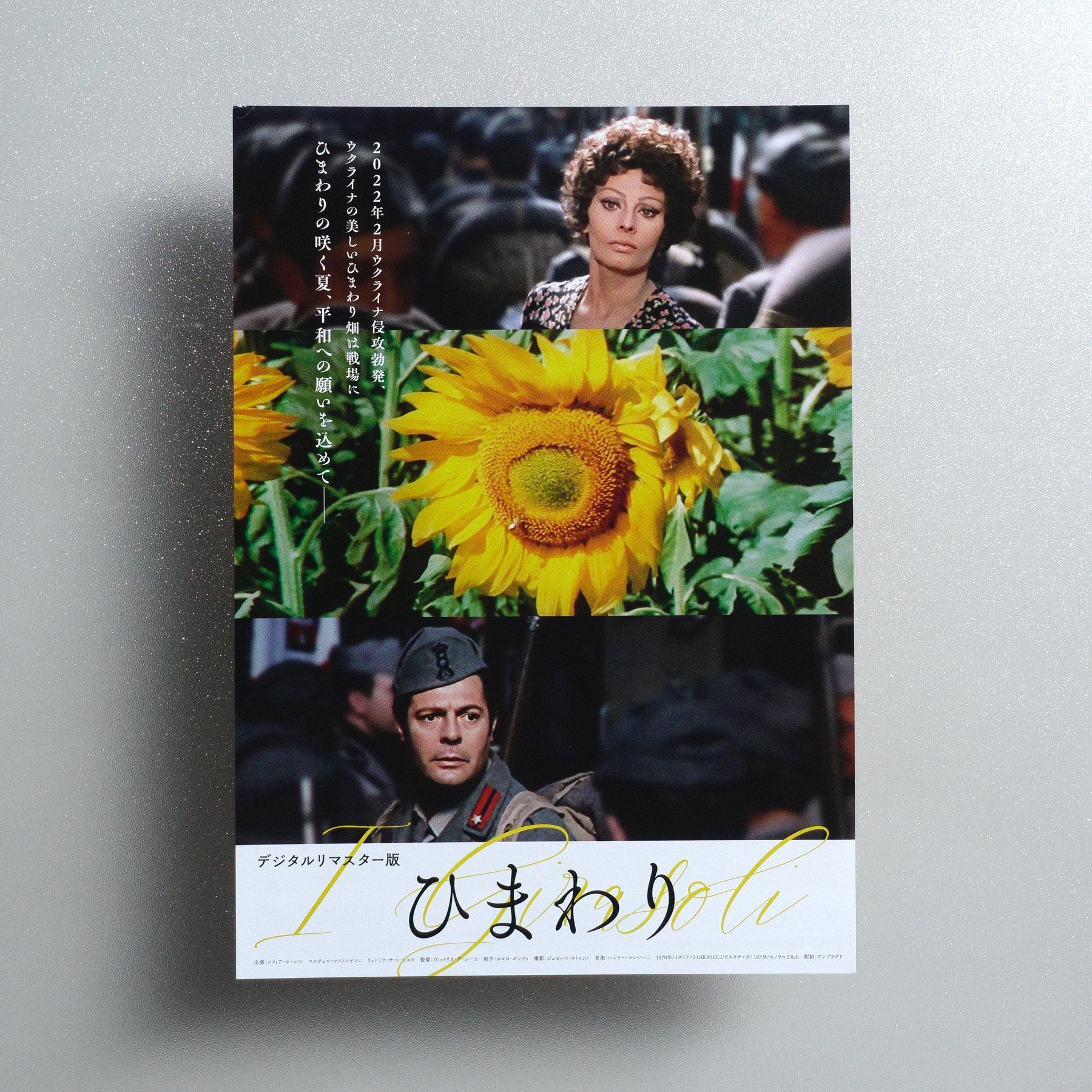 Sunflower 2023 Japanese B5 Movie Flyer - front