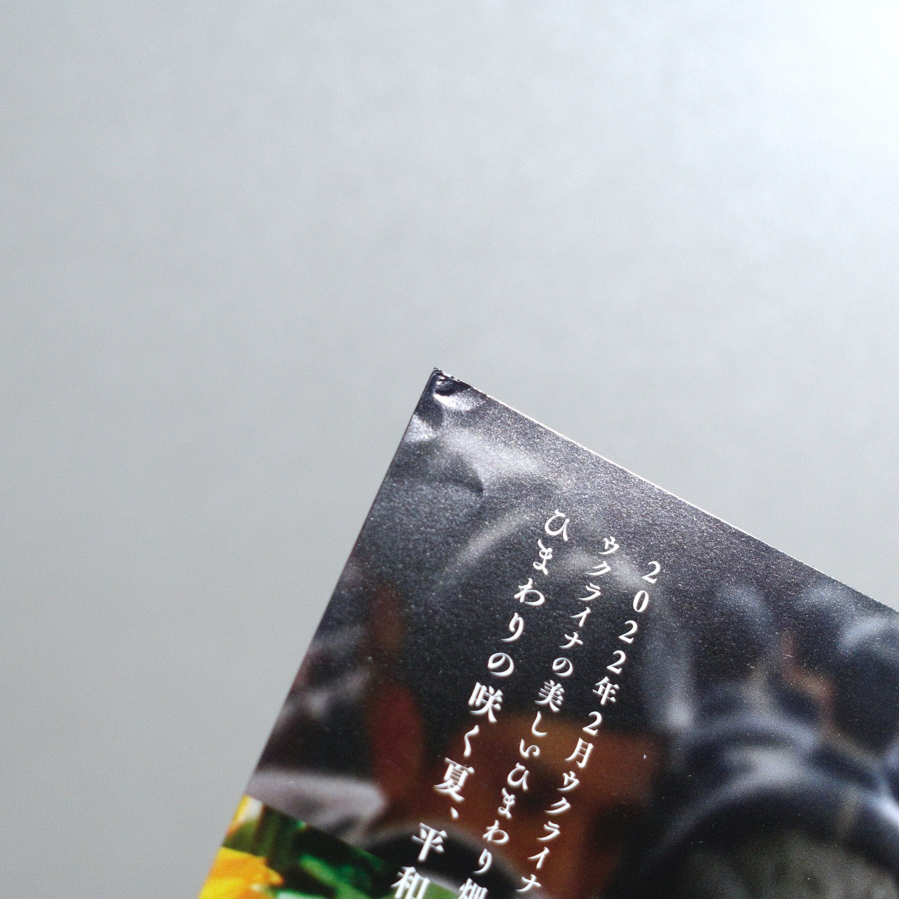 Sunflower 2023 Japanese B5 Movie Flyer - reverse