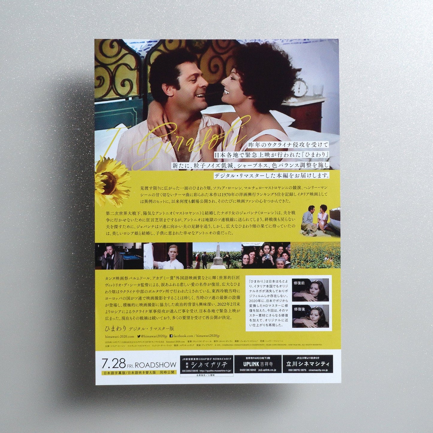 Sunflower 2023 Japanese B5 Movie Flyer - side C