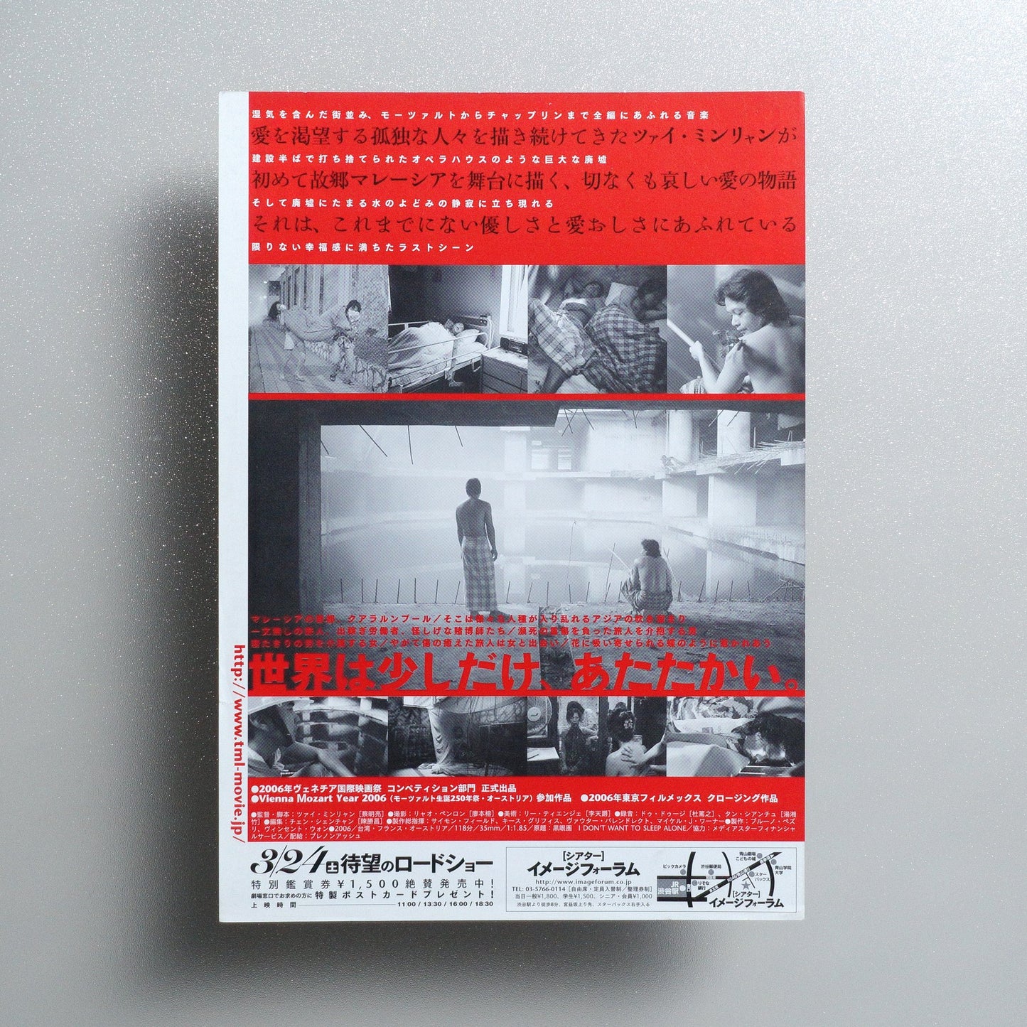 I Don’t Want to Sleep Alone 2007 Japanese B5 Movie Flyer - reverse