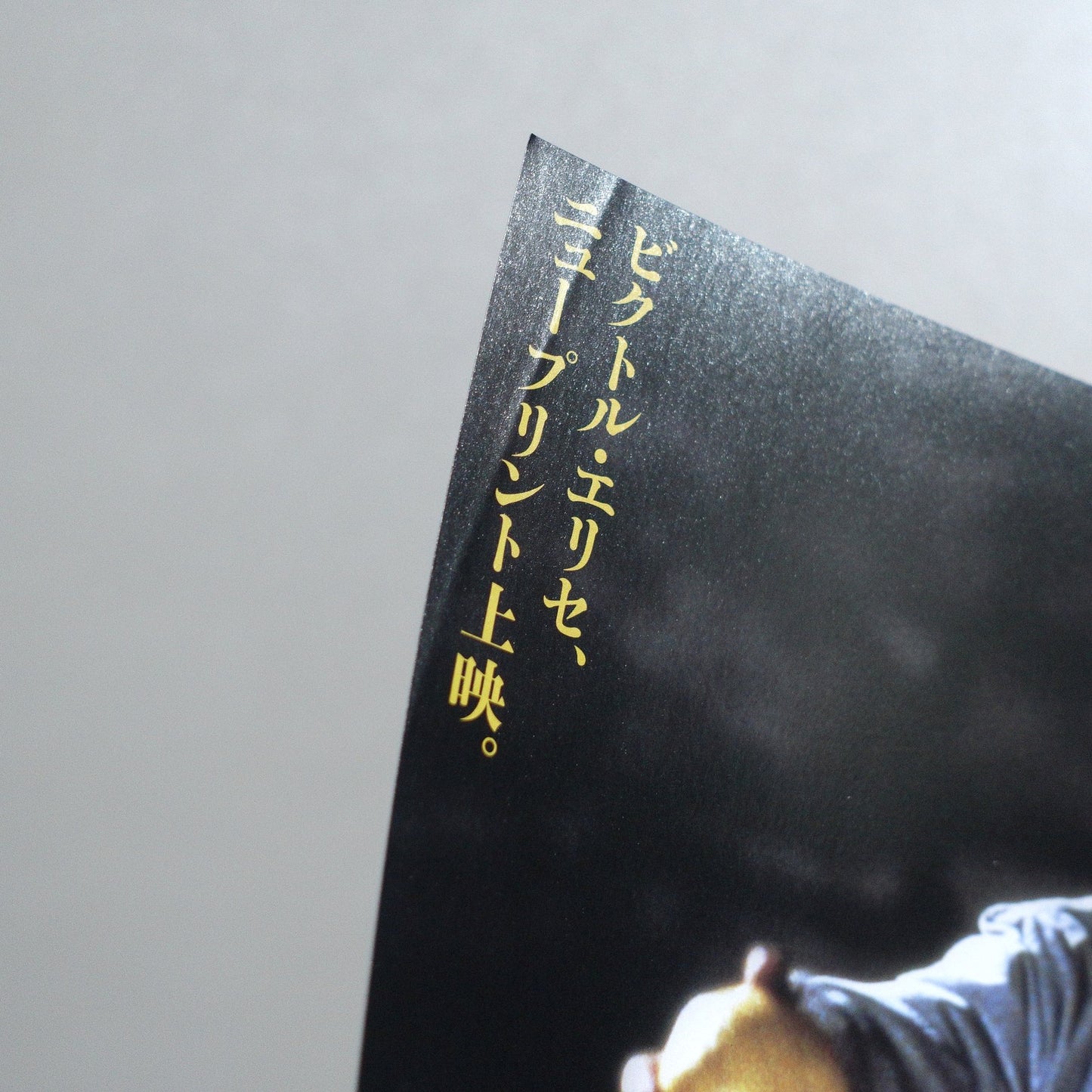 ； The Spirit of the Beehive 2009 Japanese B5 Screening Flyer - side C
