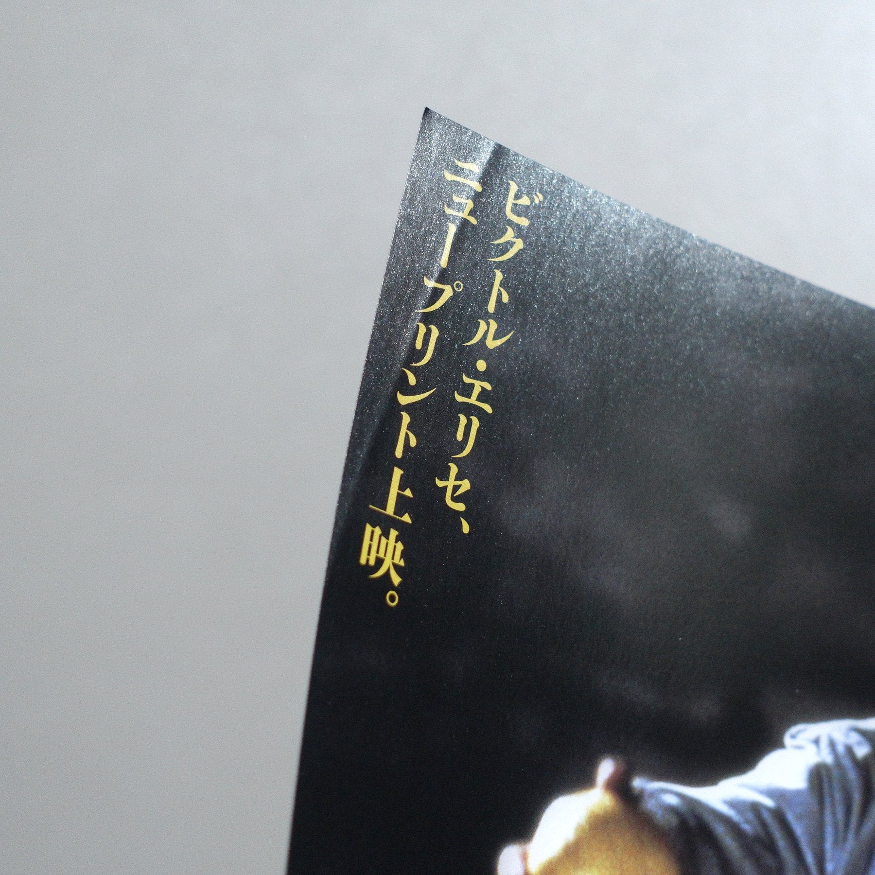 ； The Spirit of the Beehive 2009 Japanese B5 Screening Flyer - side C