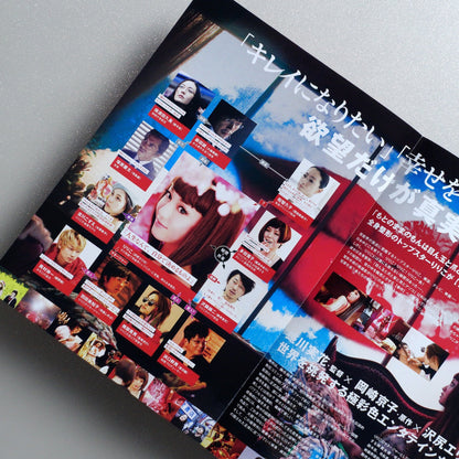 Helter Skelter 2012 Japanese B5 Folded Flyer - side C