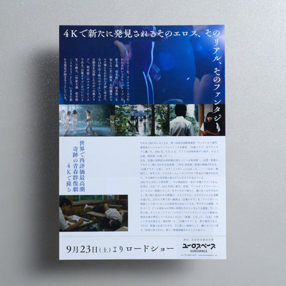 Typhoon Club 2023 Japanese B5 Movie Flyer - reverse