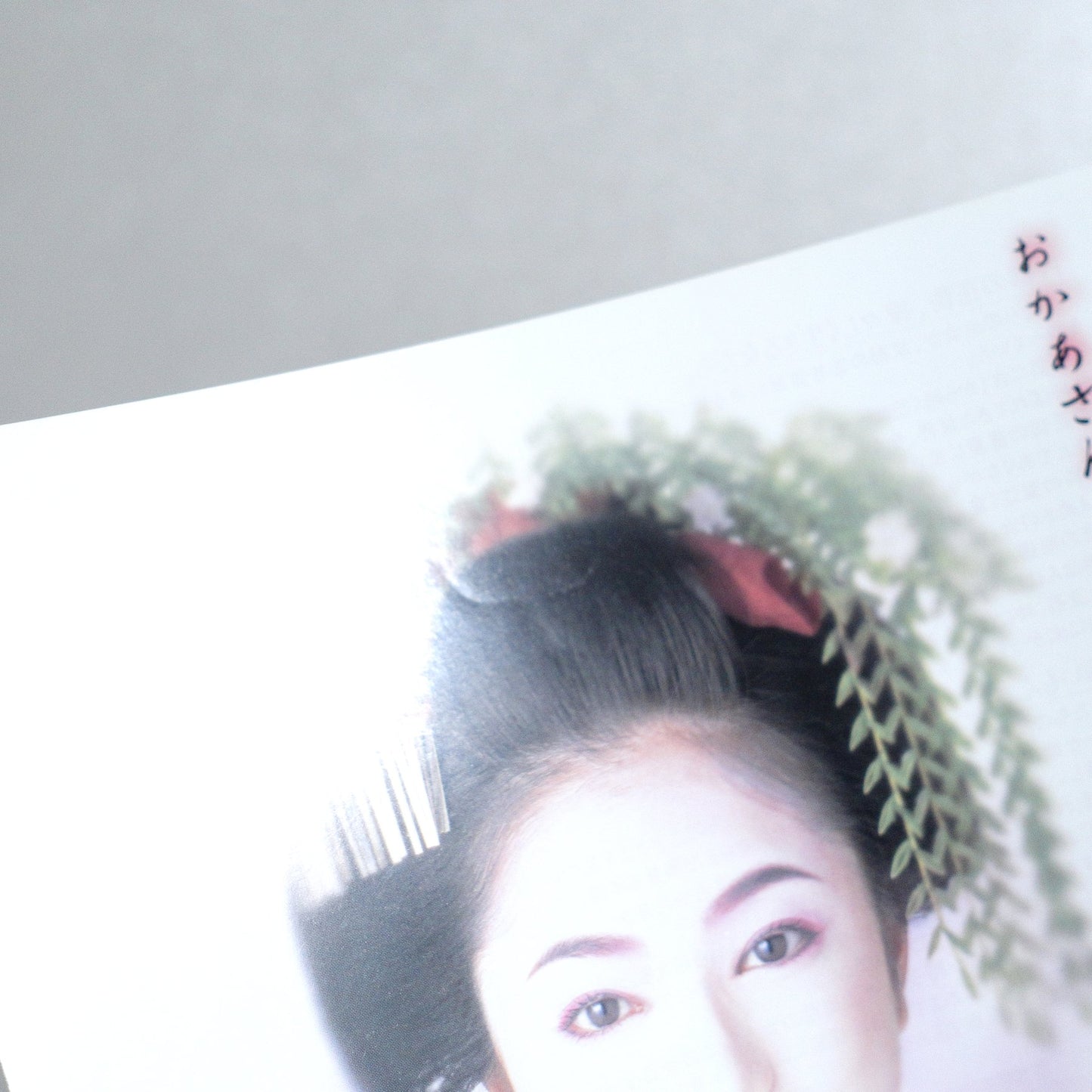 The Geisha House 1999 Japanese B5 Movie Flyer - side C