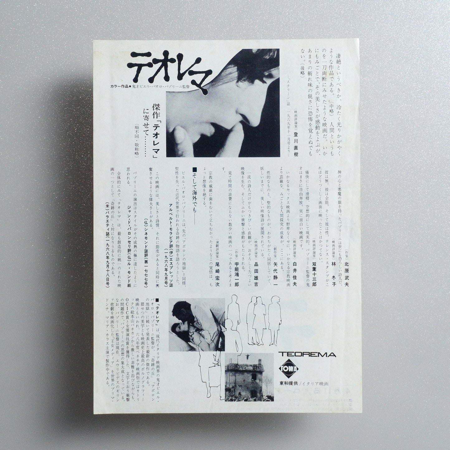Theorem 1970 Japanese B5 Movie Flyer - reverse