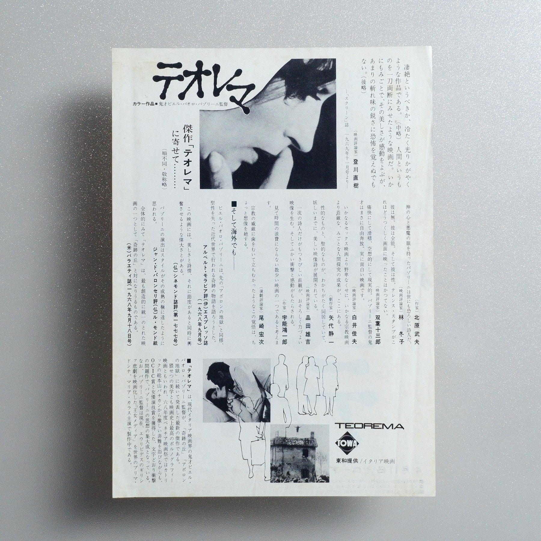 Theorem 1970 Japanese B5 Movie Flyer - reverse