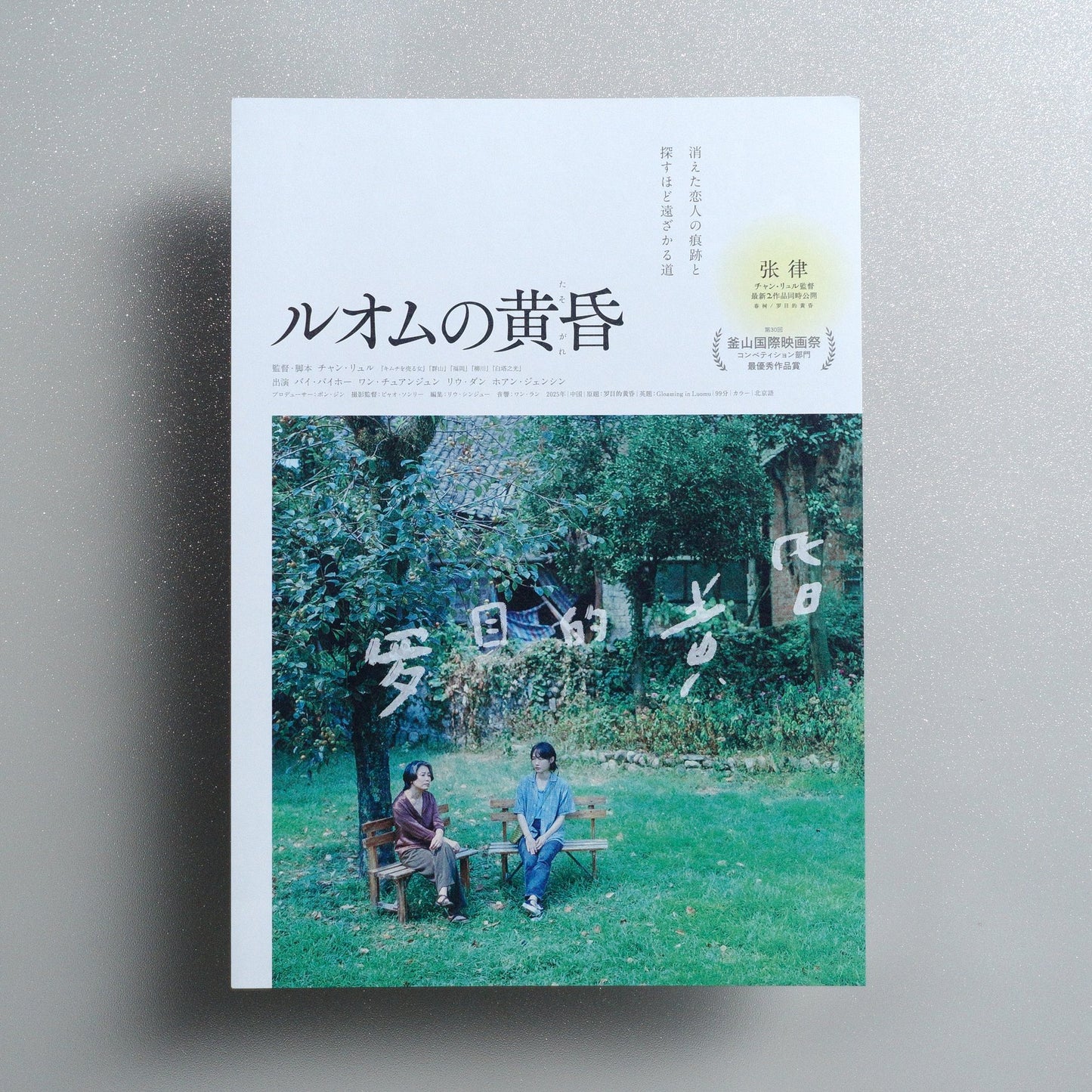 Gloaming in Luomu 2026 Japanese B5 Folded Flyer - front