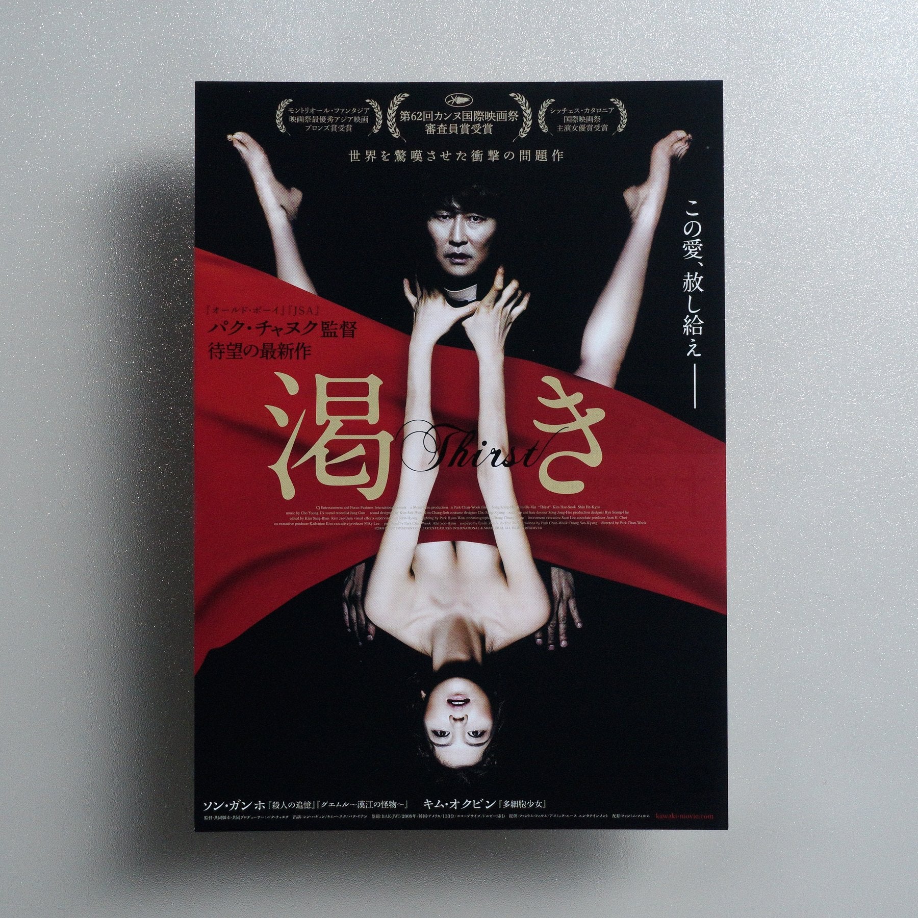 Thirst 2009 Japanese B5 Movie Flyer - front
