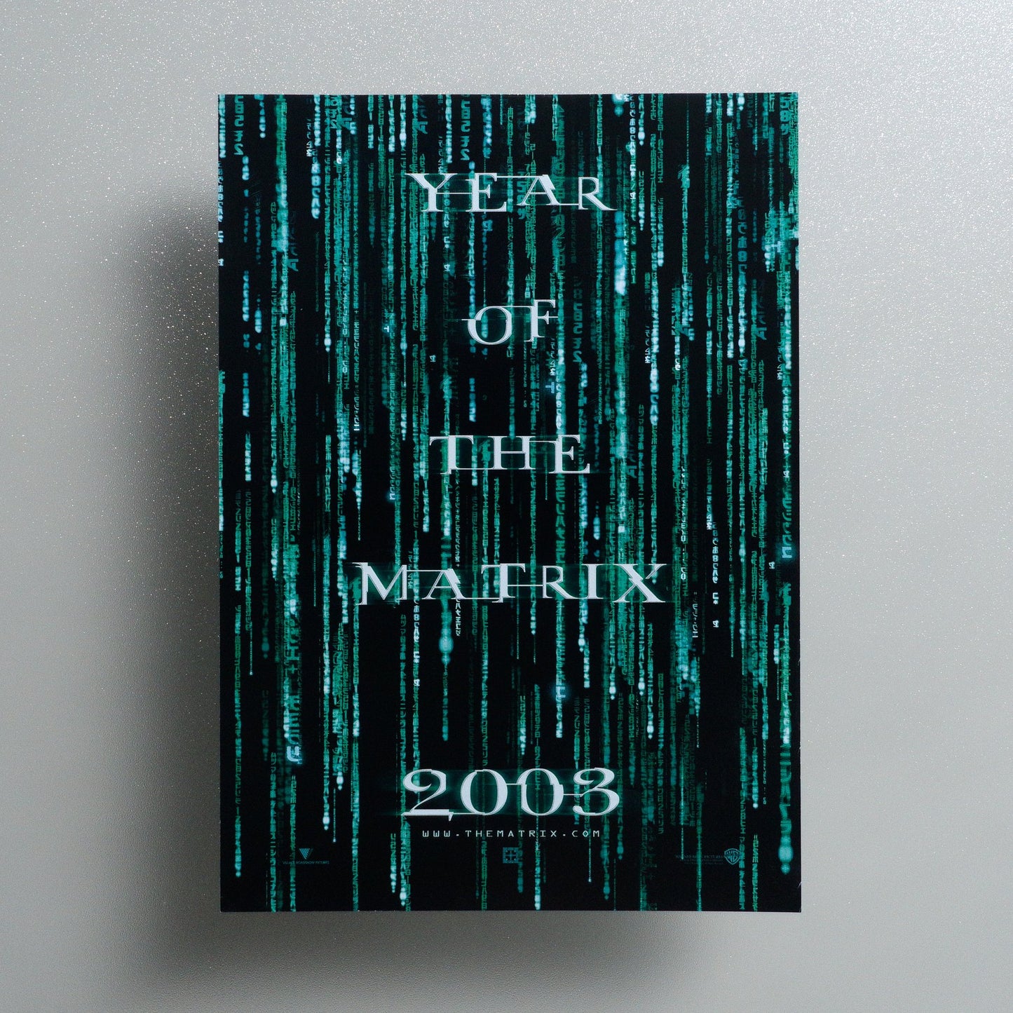 YEAR OF THE MATRIX 2003 2003 Japanese B5 Screening Flyer - front