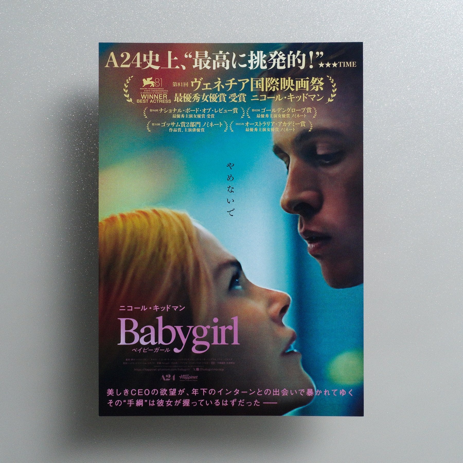 Babygirl 2025 Japanese B5 Movie Flyer - front