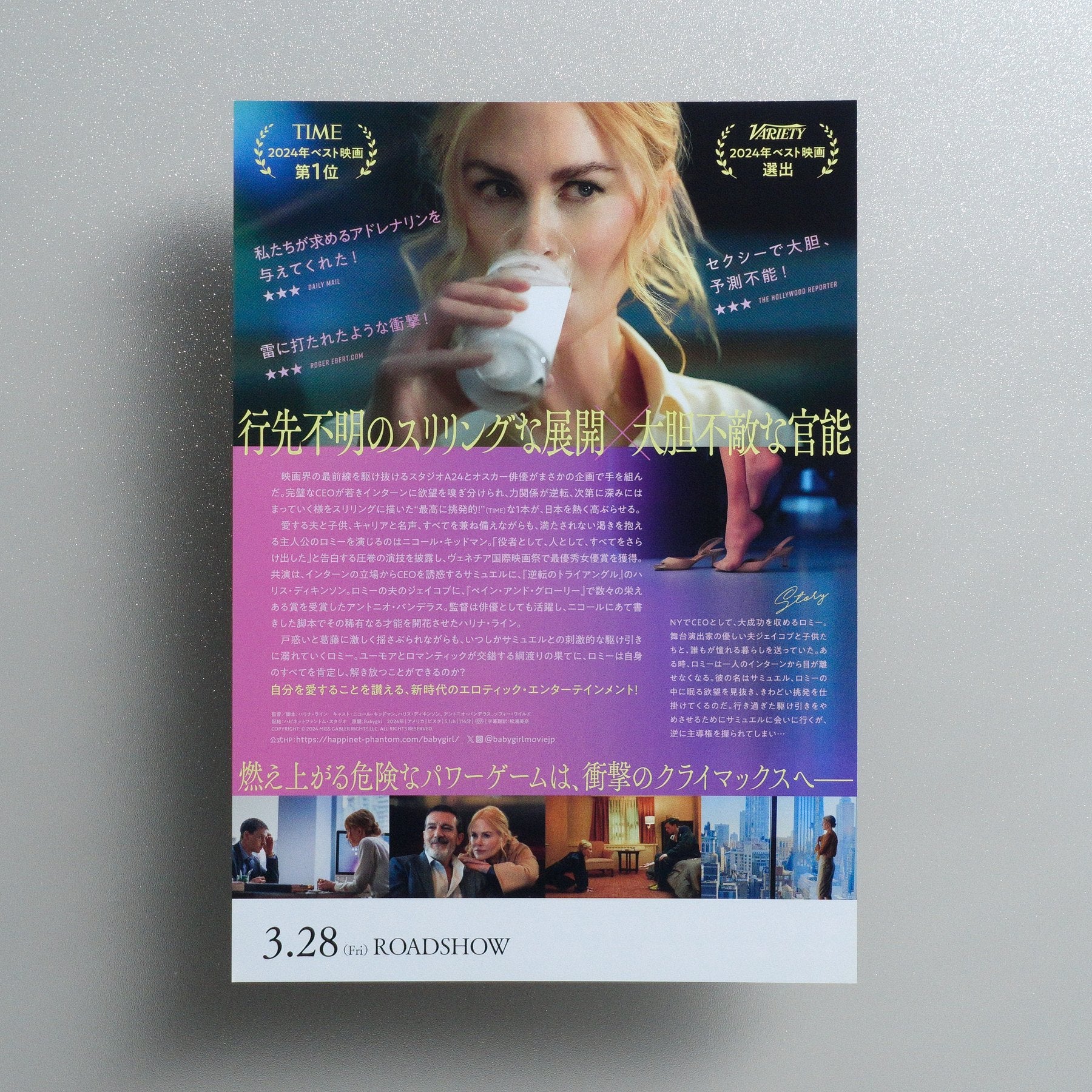 Babygirl 2025 Japanese B5 Movie Flyer - reverse