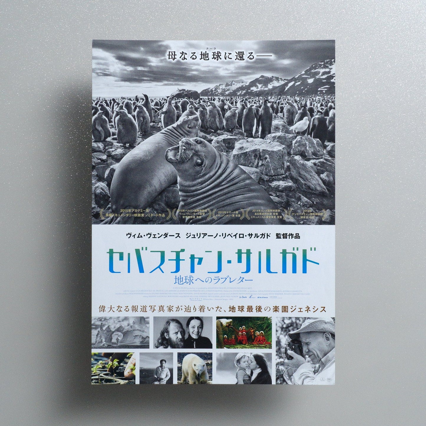 The Salt of the Earth 2015 Japanese B5 Movie Flyer - front