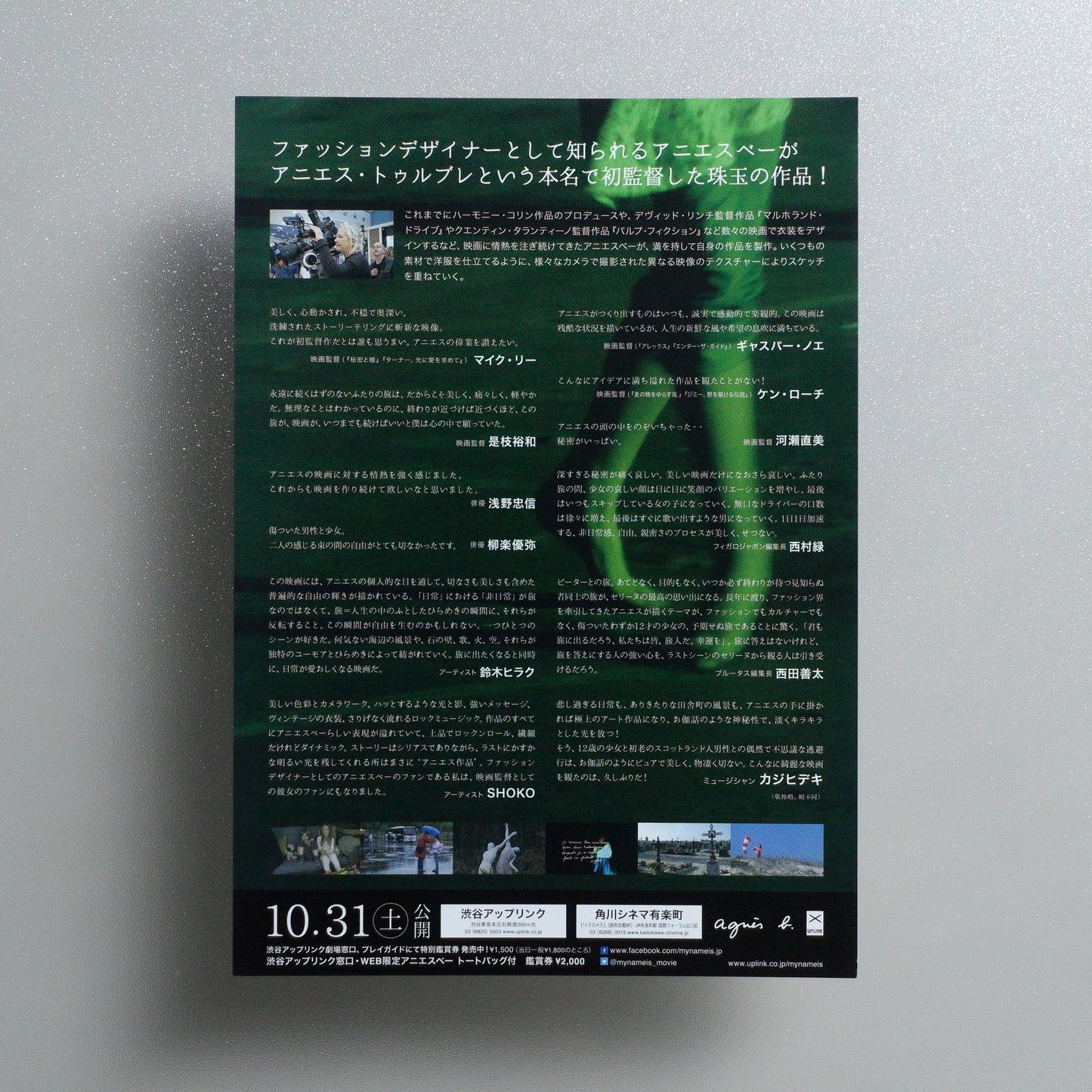 My Name Is Hmmm... 2015 Japanese B5 Screening Flyer - reverse
