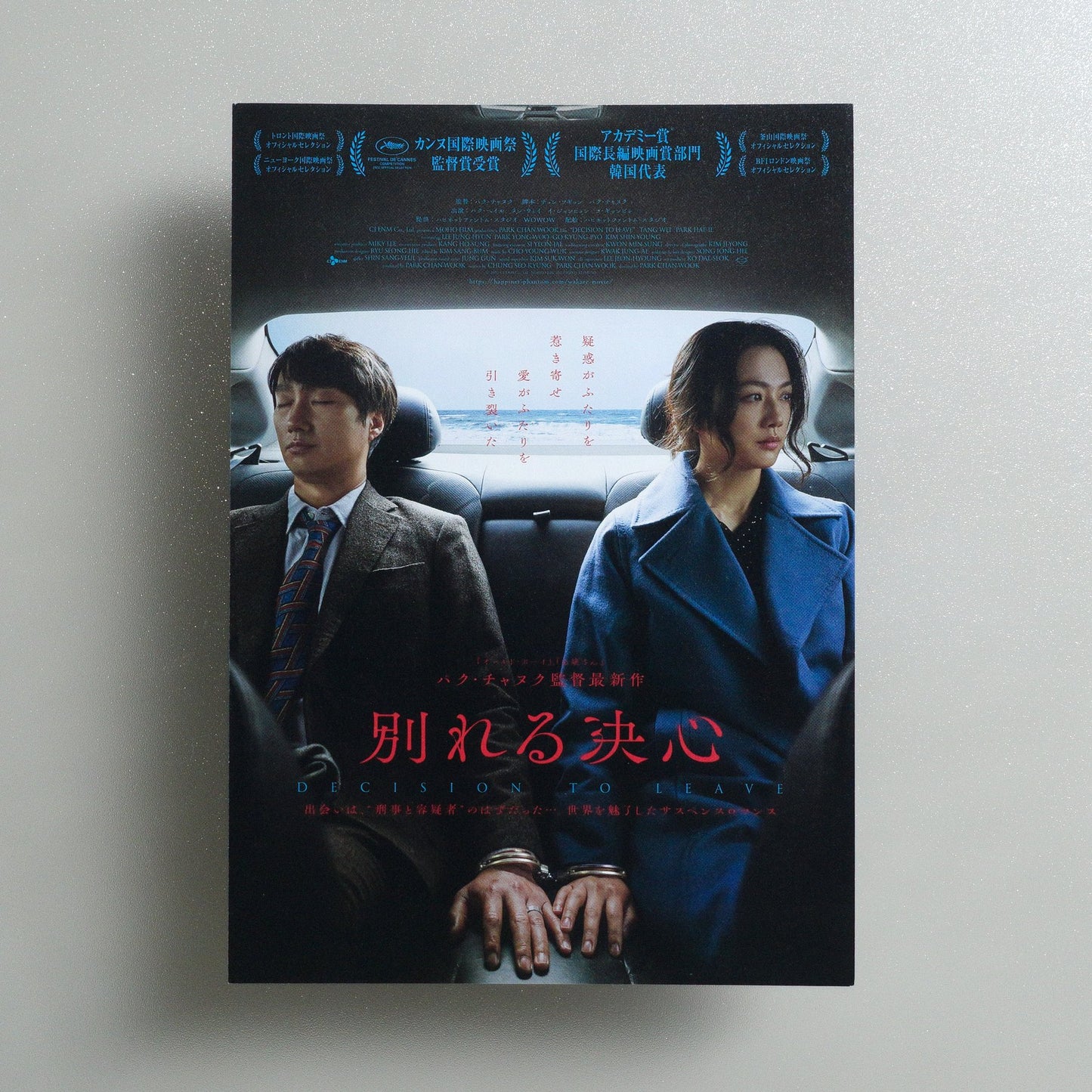 Decision to Leave 2022 Japanese B5 Movie Flyer - front