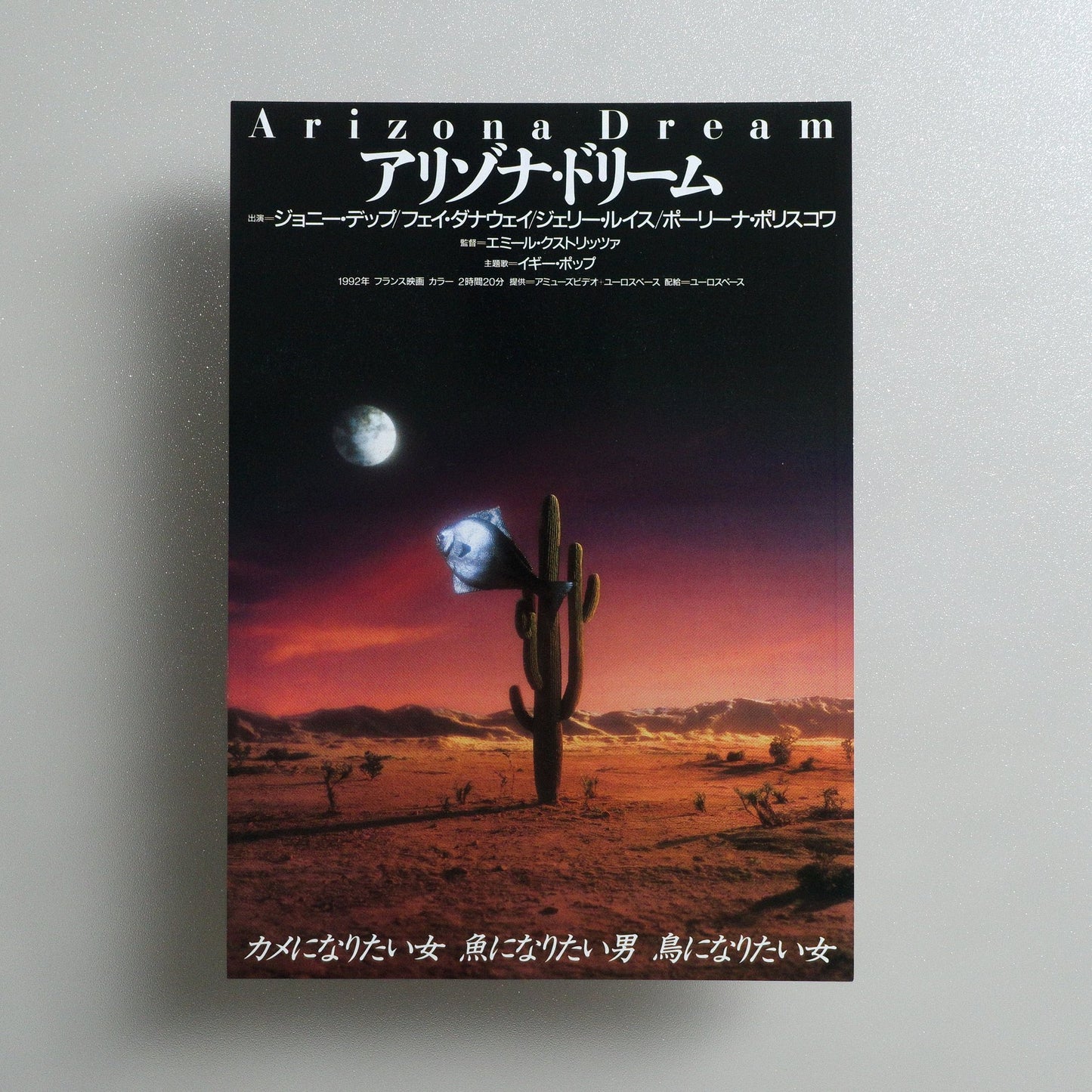 Arizona Dream 1994 Japanese B5 Movie Flyer - front
