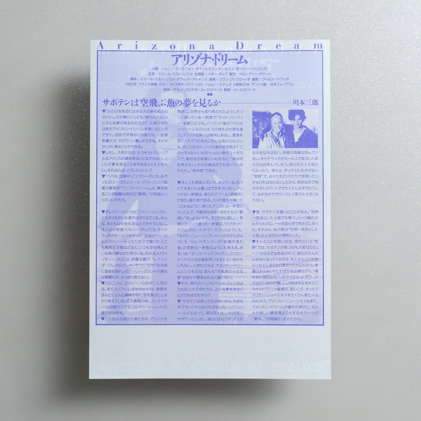Arizona Dream 1994 Japanese B5 Movie Flyer - side C