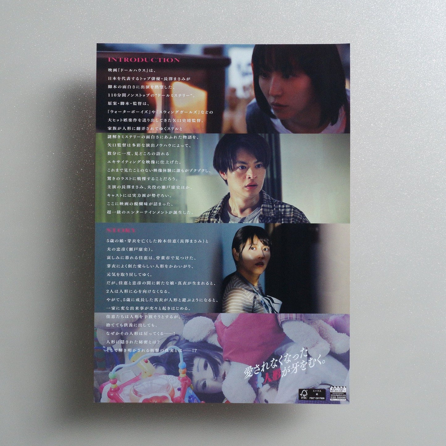 Dollhouse 2025 Japanese B5 Movie Poster - reverse