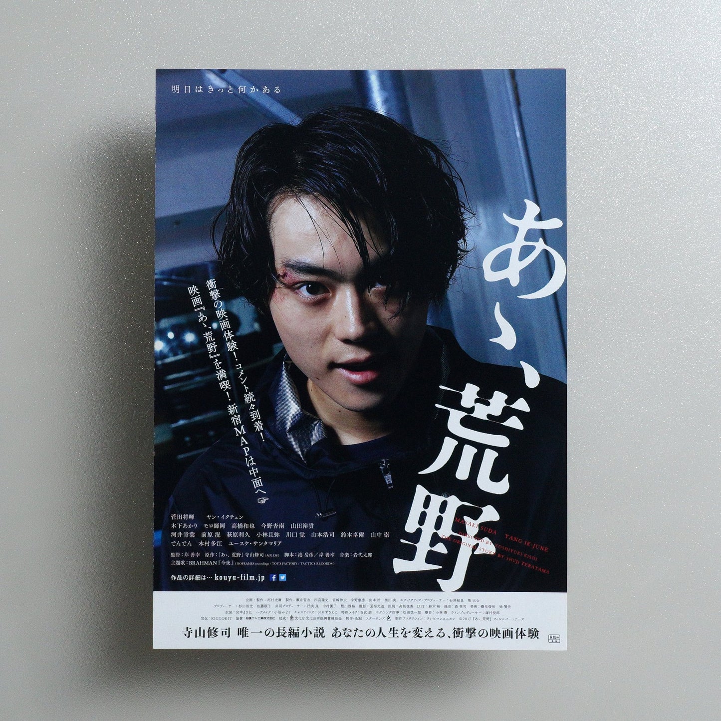Wilderness: Part One 2017 Japanese B5 Folded Flyer - front