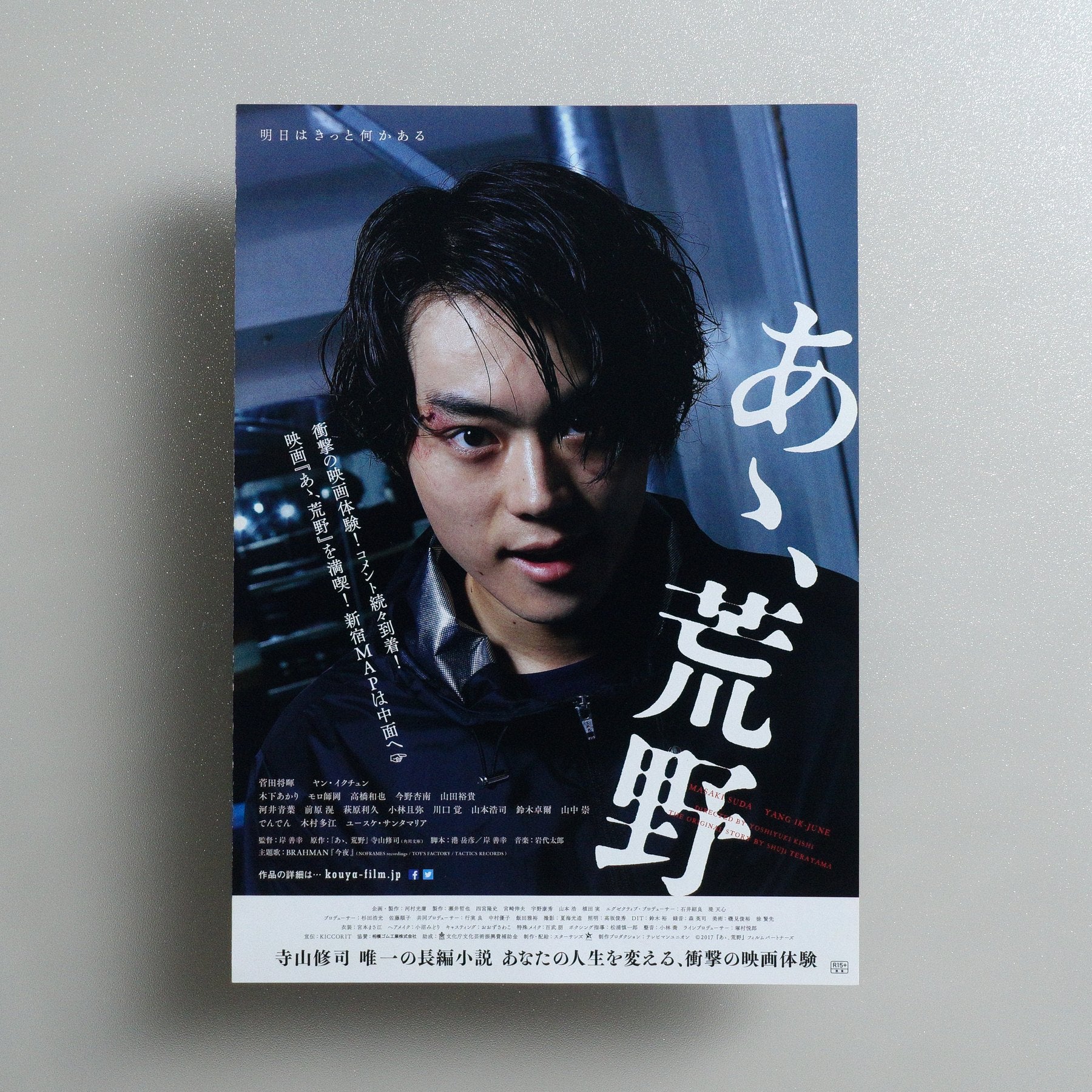 Wilderness: Part One 2017 Japanese B5 Folded Flyer - front